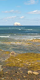 Bass rock