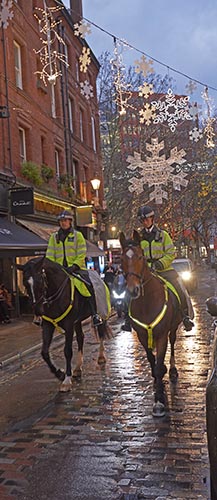 Mounted police